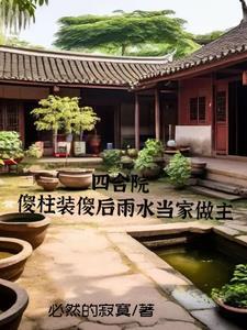 四合院成为傻柱
